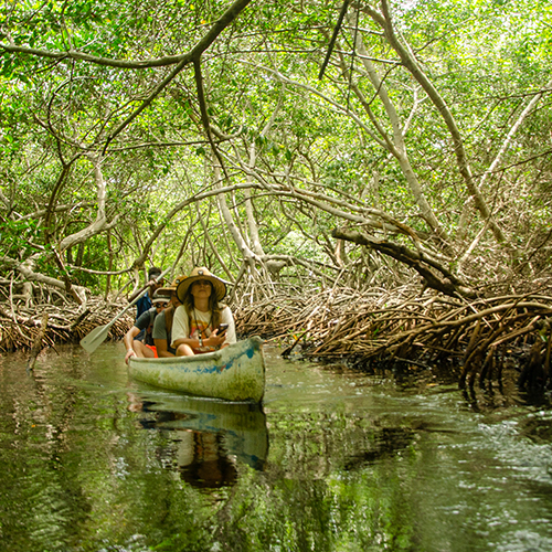 tour islas del rosario